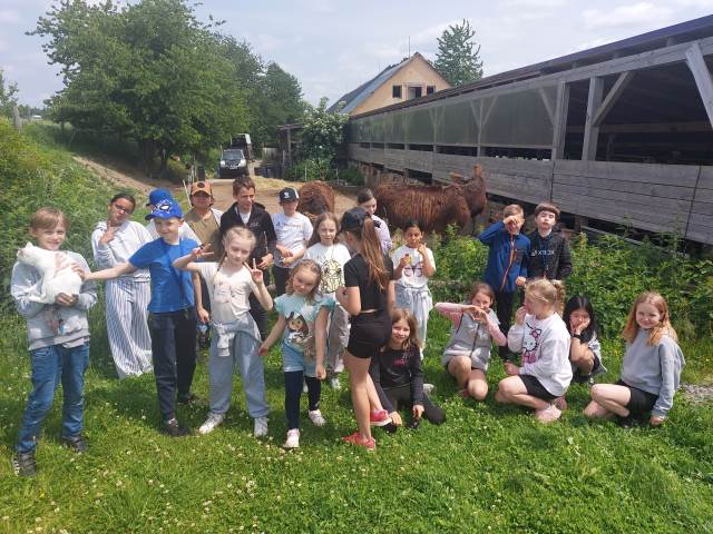 Minizoo 4. B
