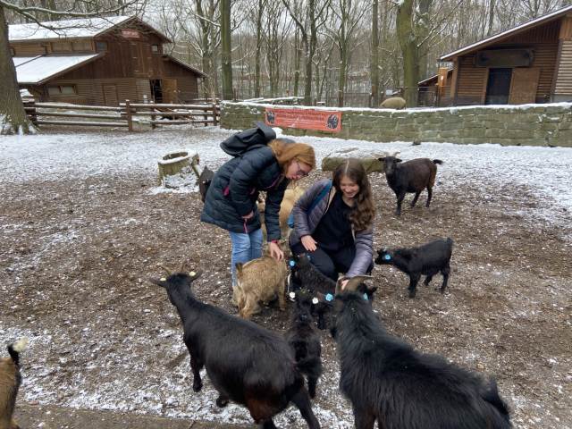 Finále Velké ceny ZOO Ostrava