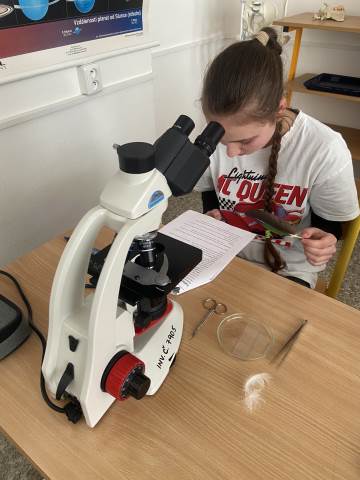 Školní kolo Biologické olympiády kategorie B, C a D